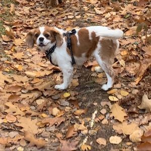 Meet your Posher, Tom